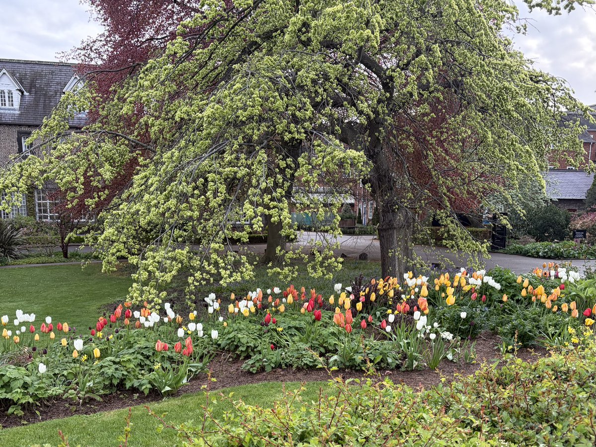 John F. Goodfellow tweet media