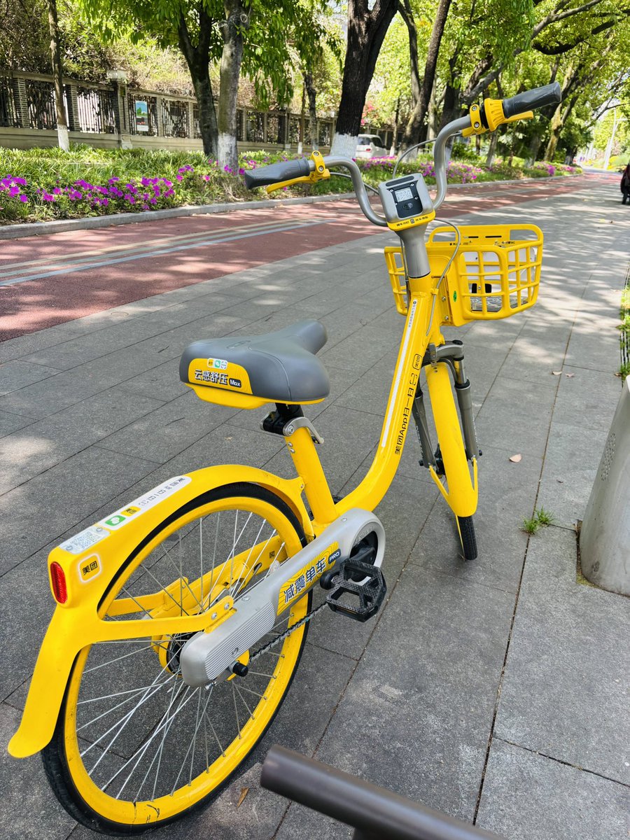 流浪猫 tweet media