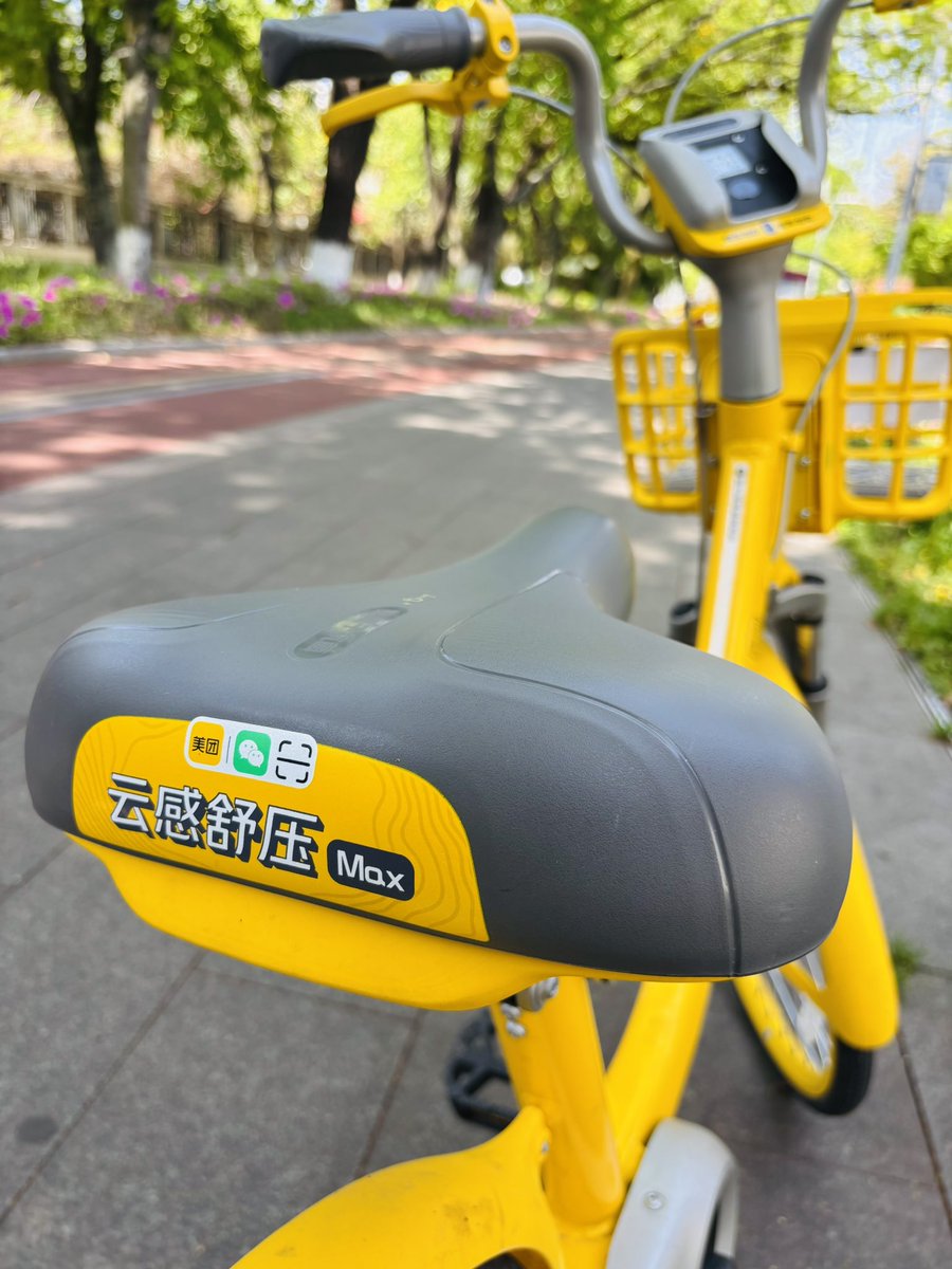 流浪猫 tweet media