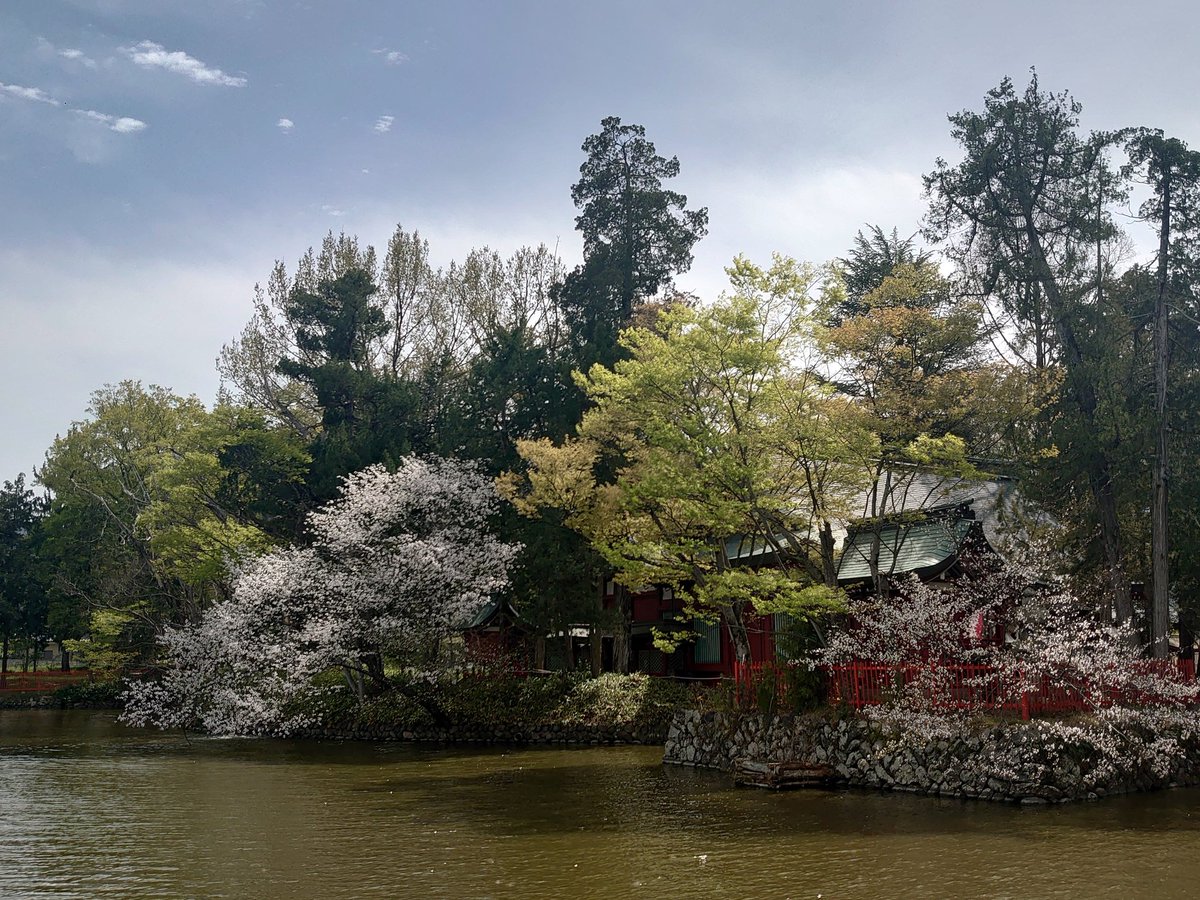 maririn63's tweet photo. 上田・生島足島神社へお散歩に行ってきました https://t.co/RUFJslkOfp