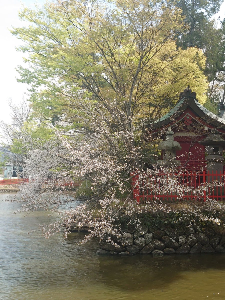 maririn63's tweet photo. 上田・生島足島神社へお散歩に行ってきました https://t.co/RUFJslkOfp