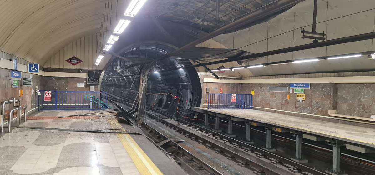 María Acín tweet media