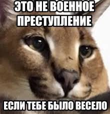 господин петровский tweet media