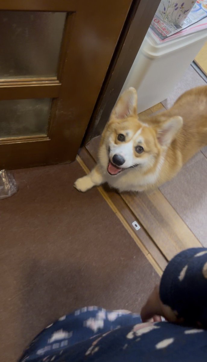 こなつ＆りく tweet media