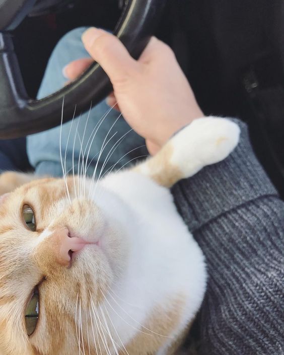 𐙚 (@fashioonablee) on Twitter photo 