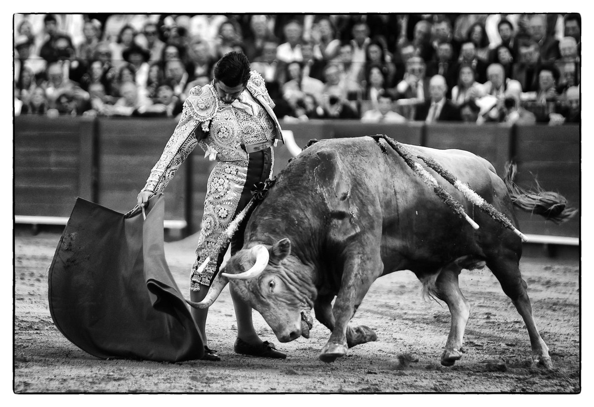 Tercio de Quites tweet media