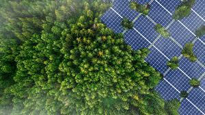 GNGAgritech's tweet photo. South Korea’s Solar Trees Are Doing Much More Than Generating Electricity
https://t.co/IhRhljMhvu
#earth, #geography, #getgreengetgrowing, #globalmarket, #gngagritech, #greenenergy, #greenstories, #panels, #solar, #solarenergy, #solartree, #sustainable, #water, #waterharvesting https://t.co/Vjk5g45jBj