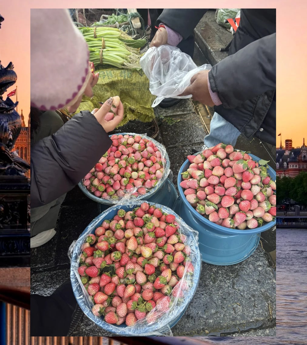 Dean Nelsen tweet media