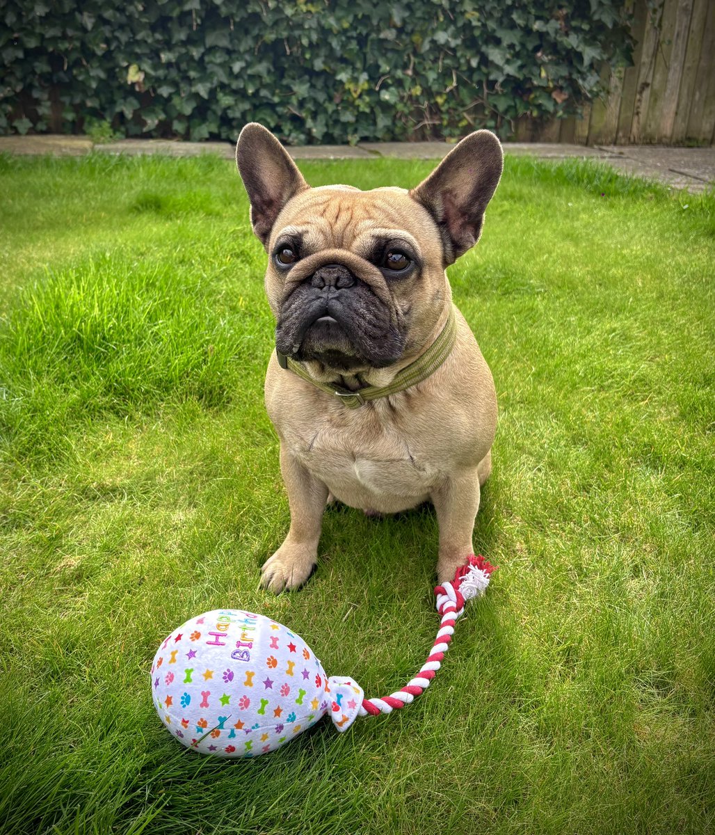 Gary or Gaz or Gazzy tweet media