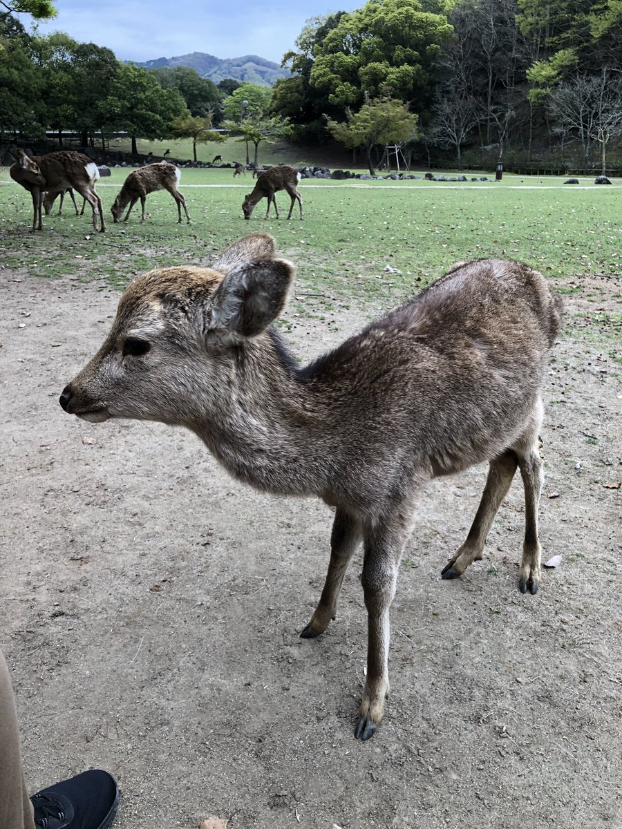 Andrew Schtirbu tweet media