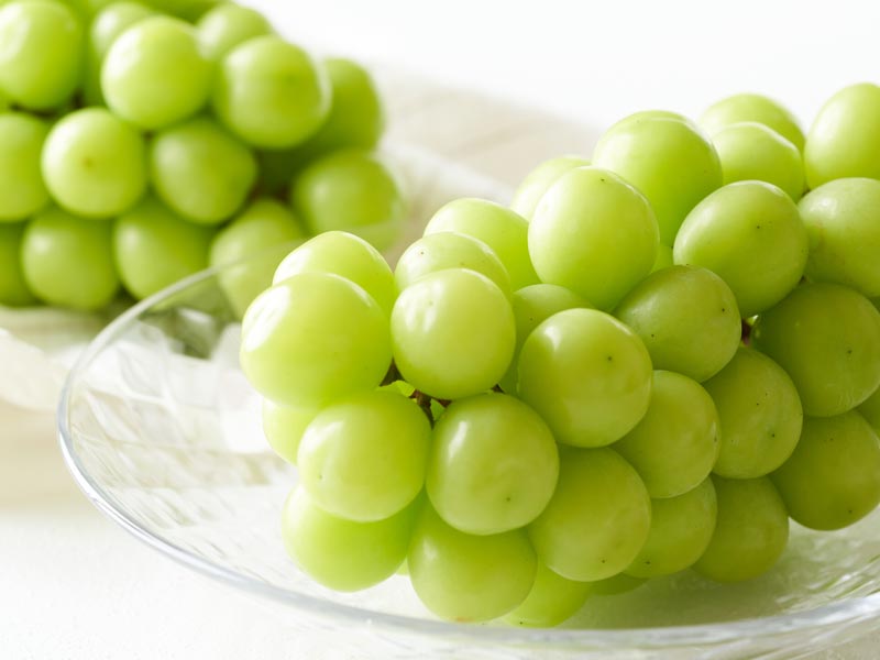 桃太郎フルーツ便 tweet media