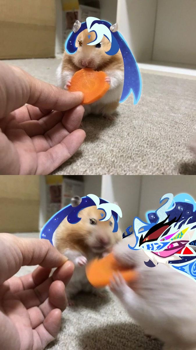 미니모 tweet media