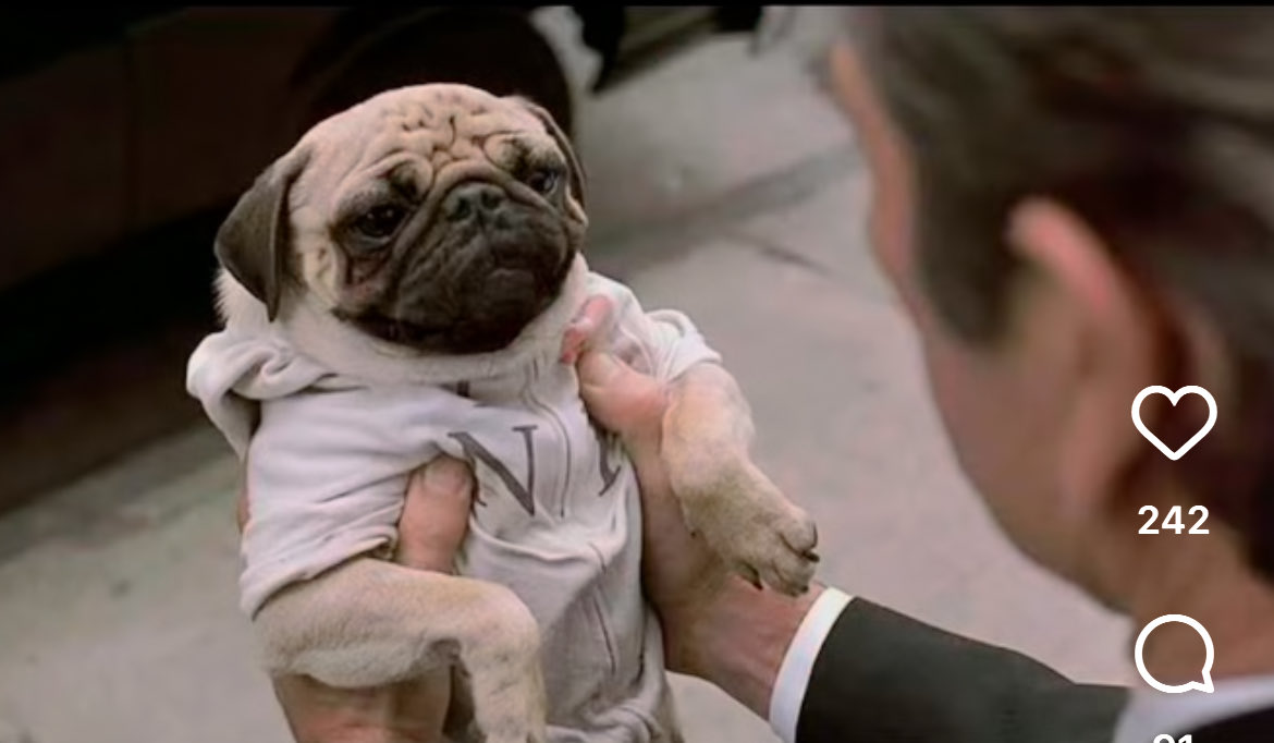 Fiirii88 💥 tweet media