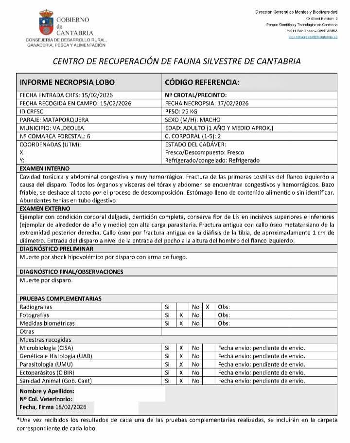 Marcoslrua tweet media