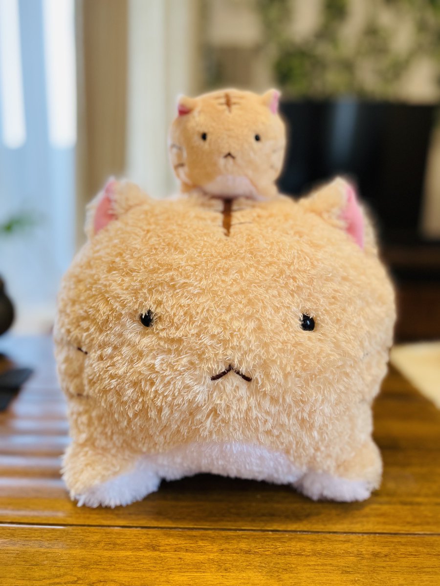 樹るう　チート猫6巻発売中！ tweet media