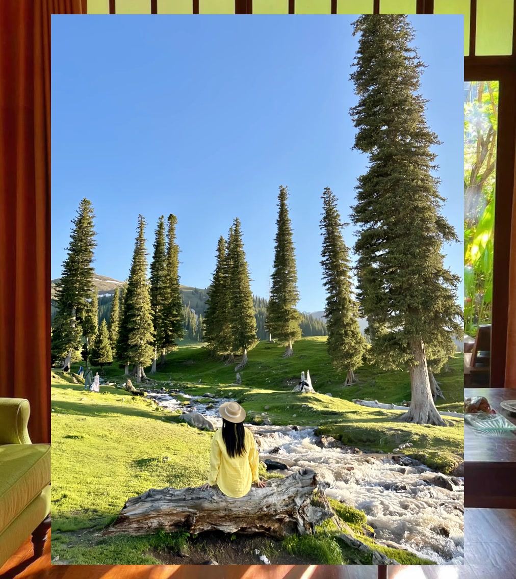 Justin Haulin tweet media