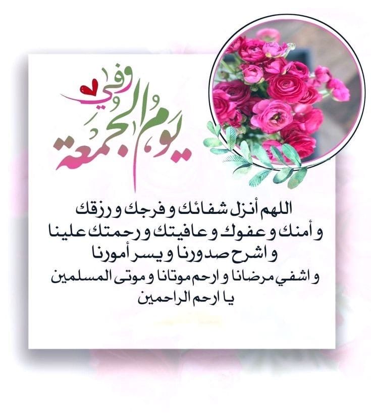 maghawri shinnawi tweet media