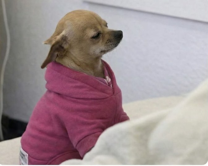 MR PLANS 🖊️✊🏿 tweet media