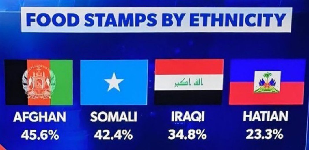 Neon White Rabbit tweet media