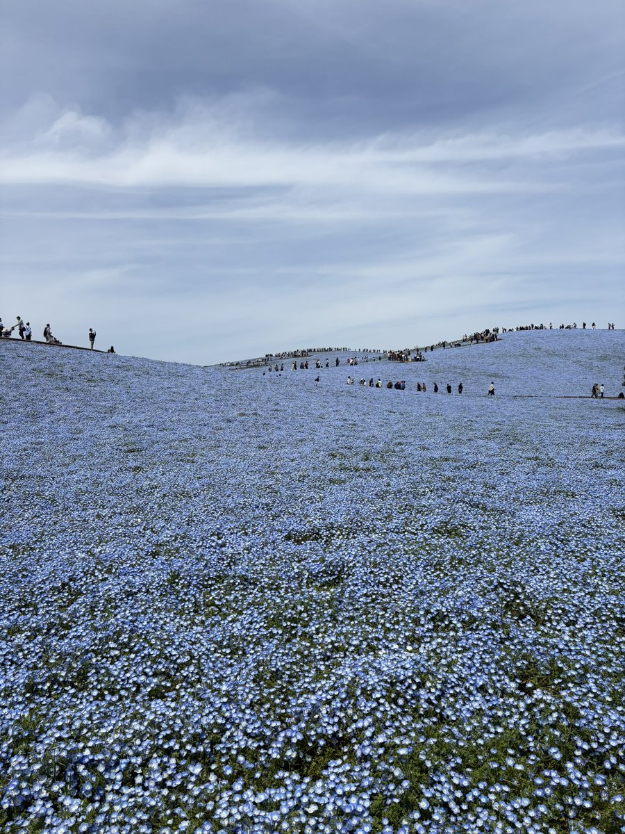 栗追しい🌰固定ポスト見ろ🫵 tweet media