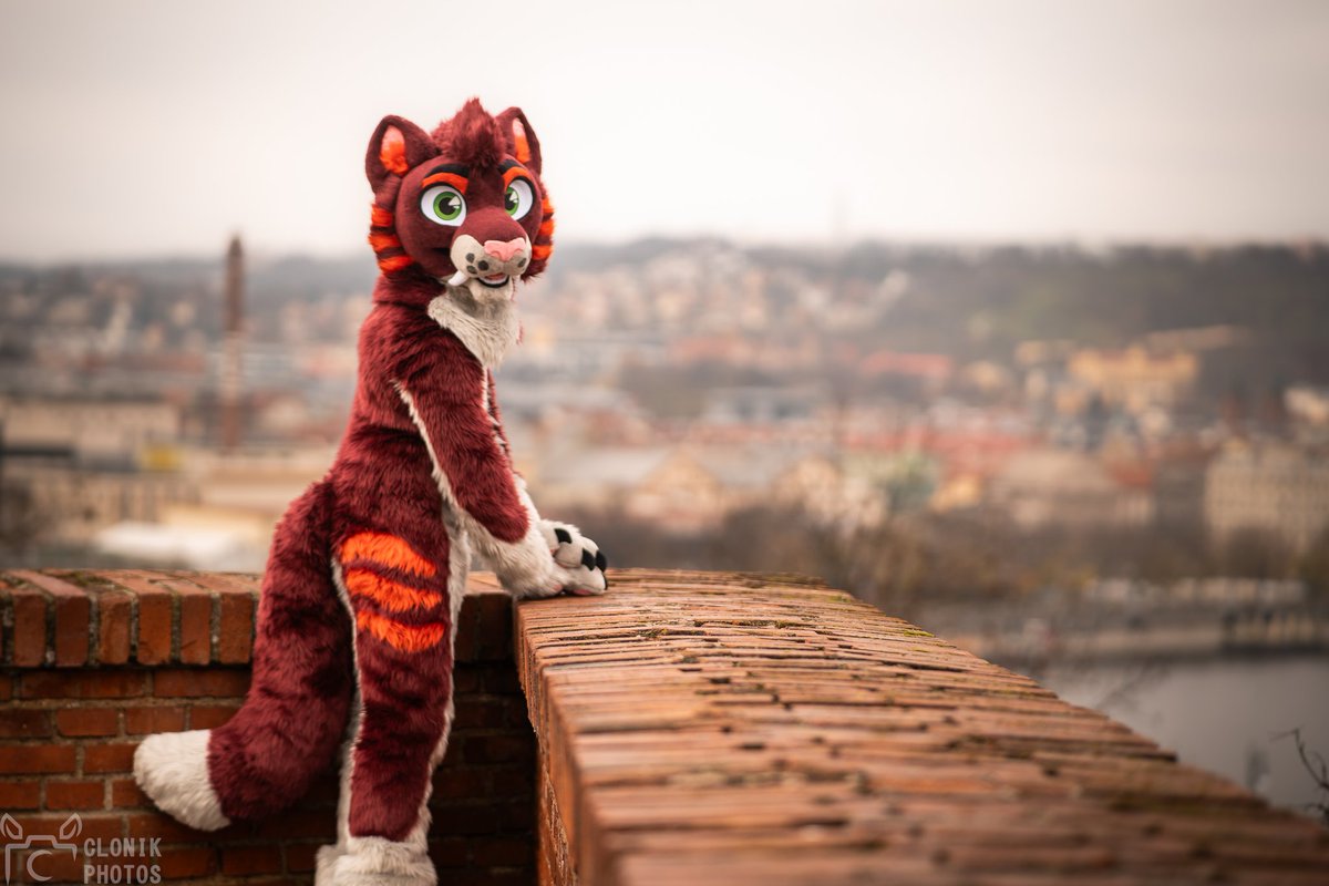 Foxy Woxy tweet media