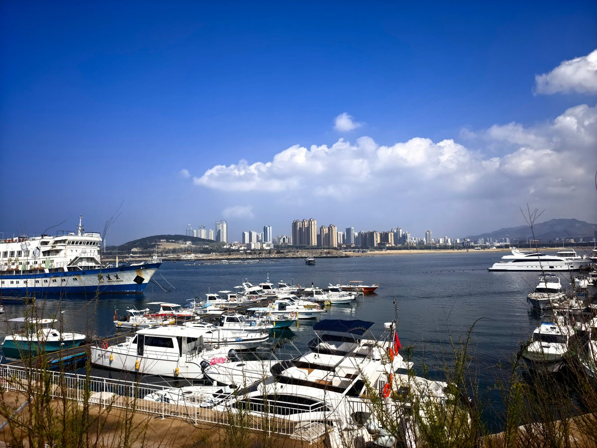 一年僧 tweet media