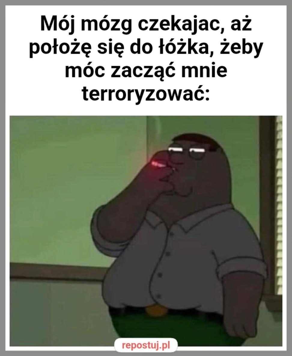 Wojtek06 tweet media