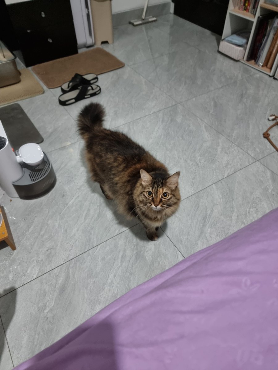 Coffee bae tweet media