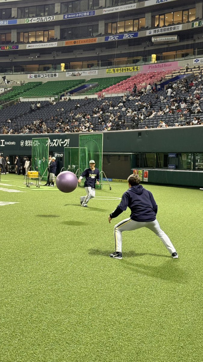 阪井日向 スポニチオリックス担当 tweet media