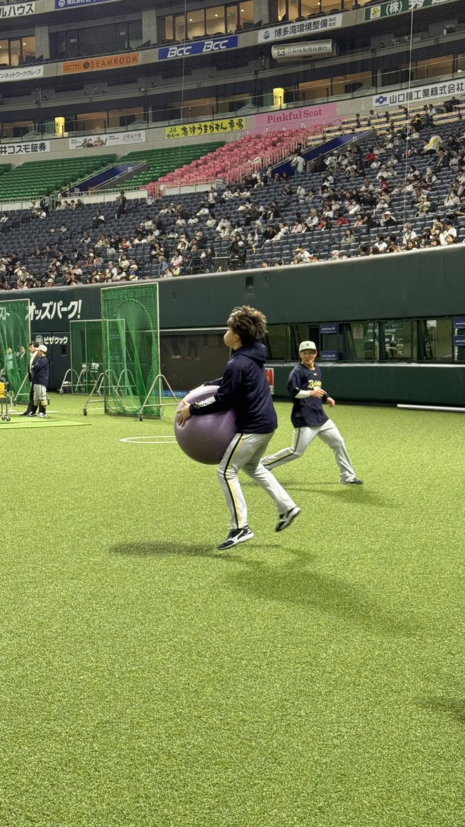 阪井日向 スポニチオリックス担当 tweet media