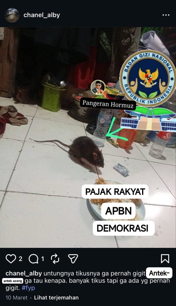 🇵🇸🍉 قادينلر سلطنتى tweet media