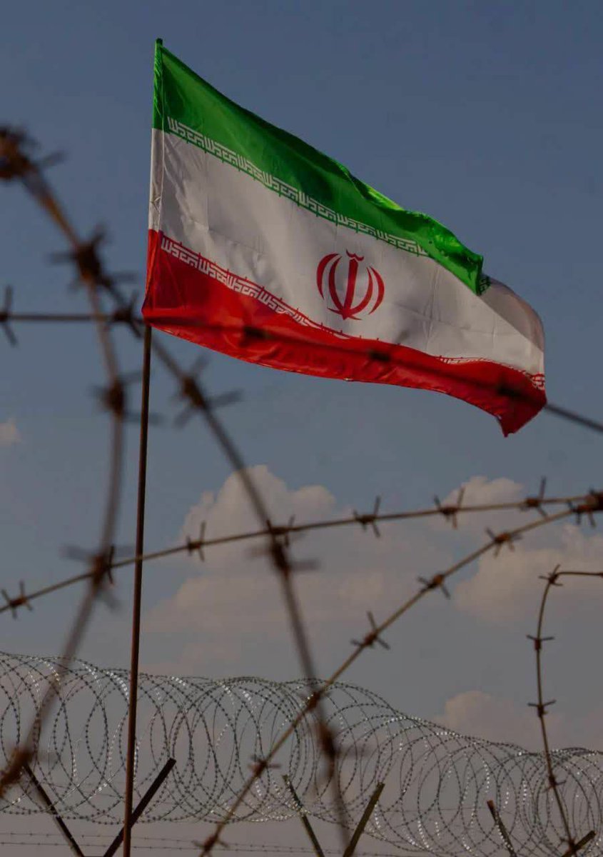 iran🌱 tweet media