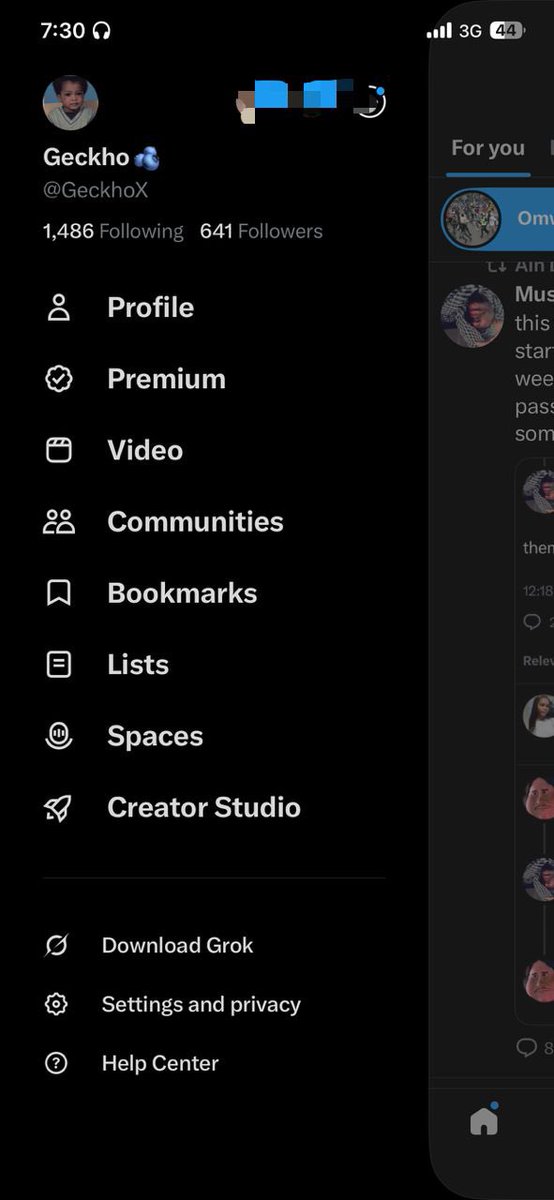 Geckho🫐 tweet media