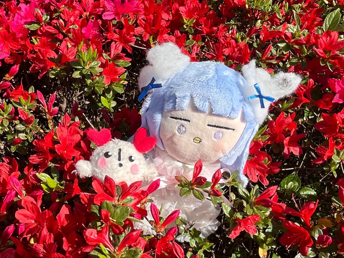 Mujifa【天仙】 tweet media