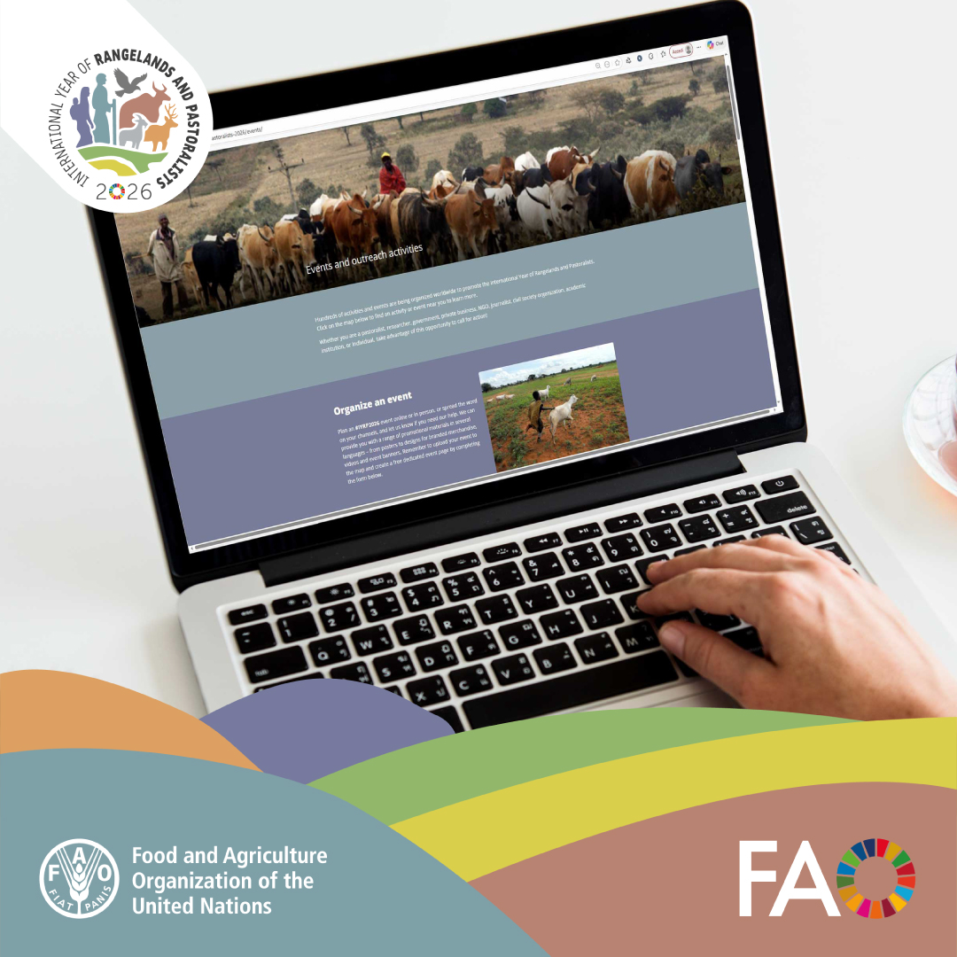 FAO Livestock tweet media