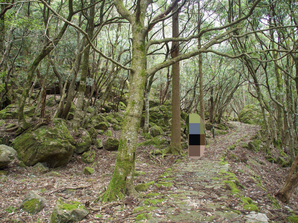 先日、妖好きの聖地大江山にて登山寄りのハイキングをしてきました✨
麓のホテルに泊まったので雲海は見れなかったのですが、大好きな友麻碧先生の浅草鬼嫁日記の聖地なのですごく楽しかったです⛰️
コースの途中でクマと遭遇し、鬼の洞窟などにはたどり着けなかったのでまた挑戦したいと思います😌