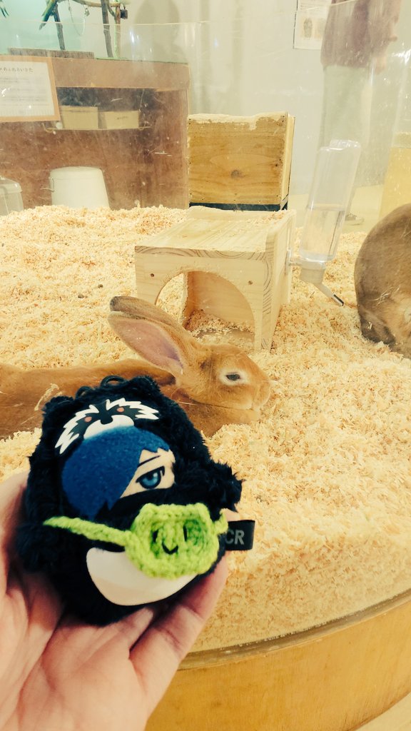 耕ﾉｷﾞ ⁽˙°˙⁾” tweet media