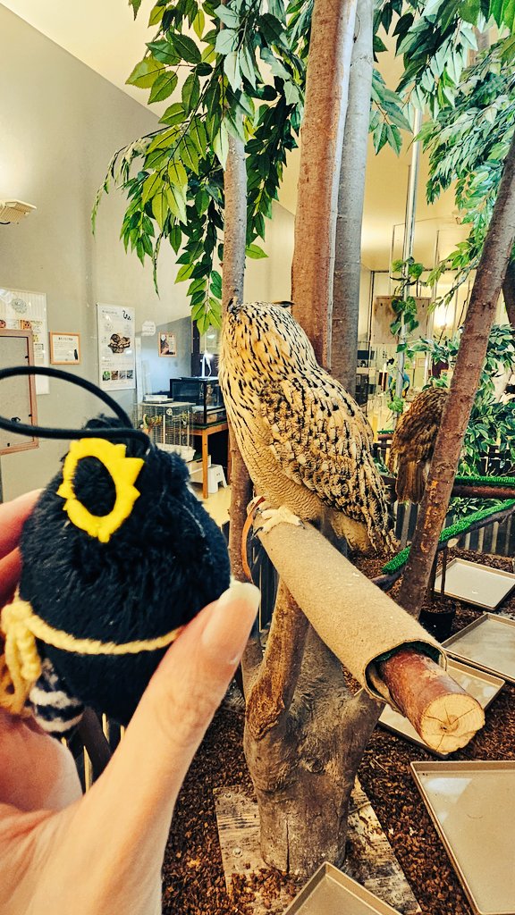 耕ﾉｷﾞ ⁽˙°˙⁾” tweet media