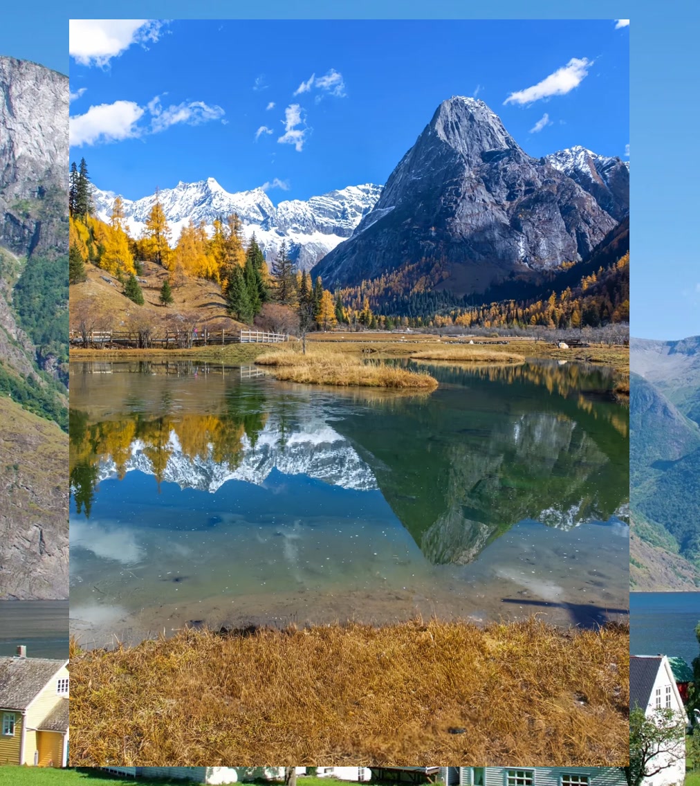 Frank Edge tweet media