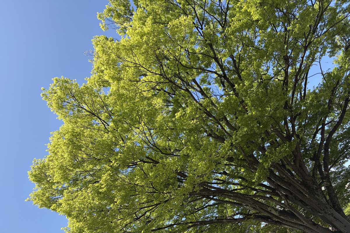 福井県立大学 tweet media