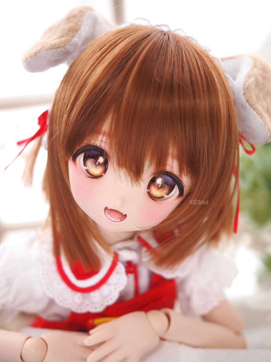 chatora🐾 tweet media