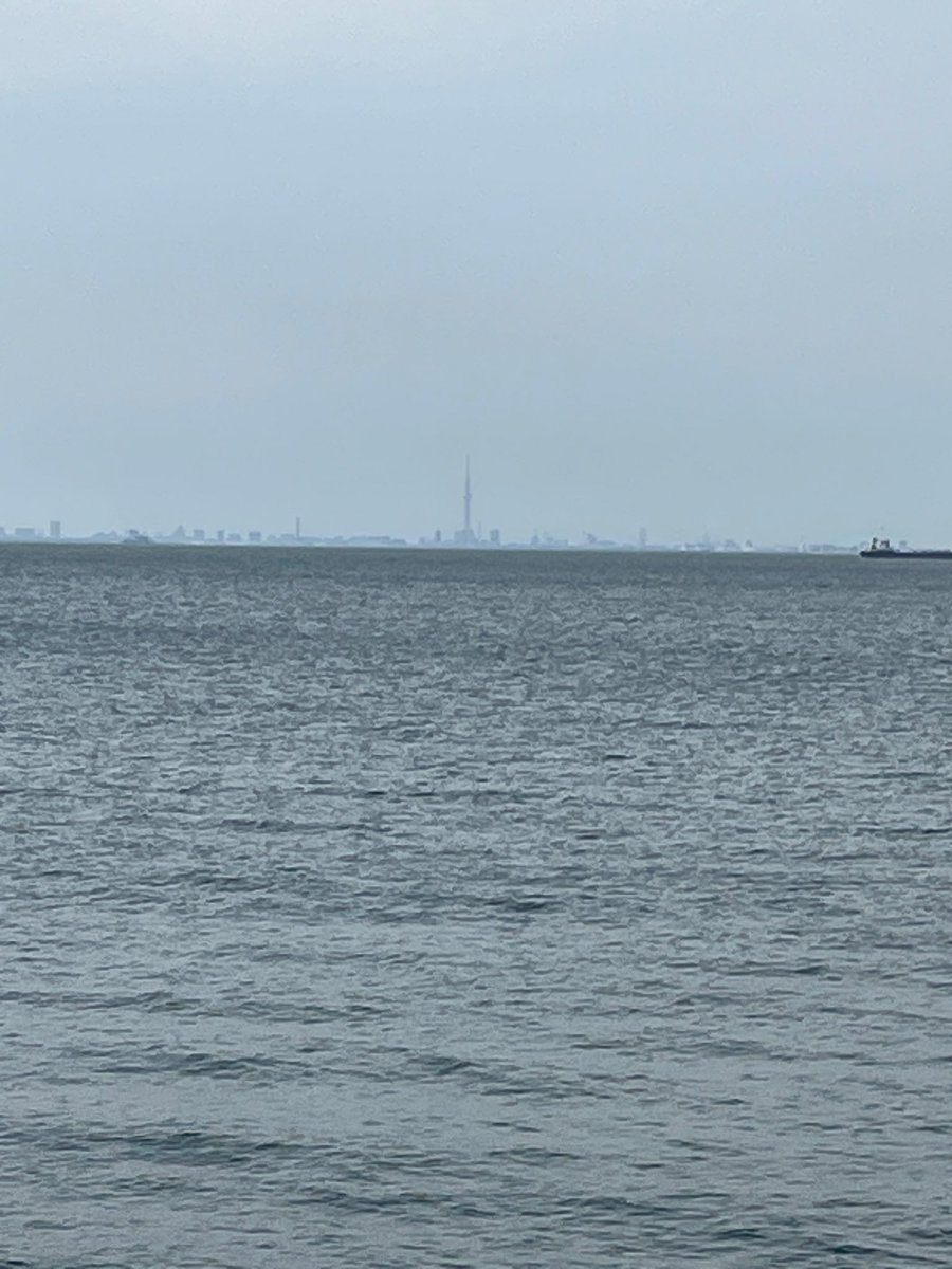 Pabro👻 tweet media