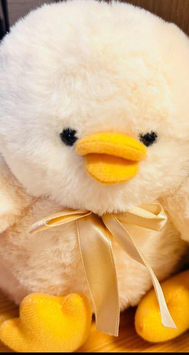 はしゅ　ユニゾンツアー待ち tweet media