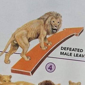 Giskard Reventlov 🇵🇸🇵🇸🇵🇸🇵🇸 tweet media