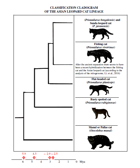 Panggil aja Purbo tweet media