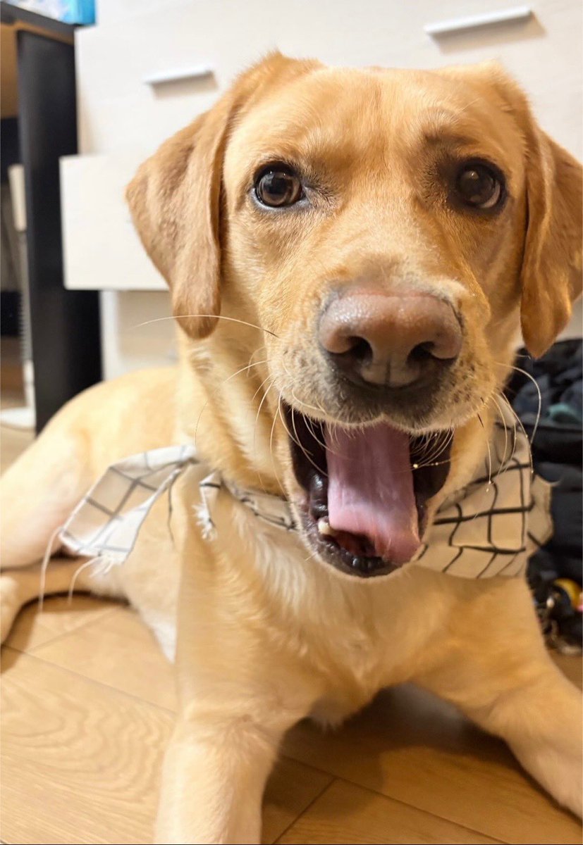 剛田VALORANT tweet media