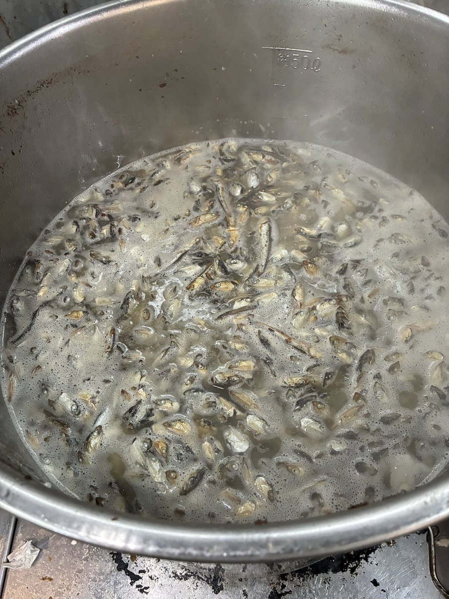 泡瀬のだいち tweet media