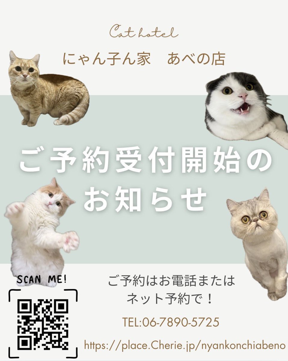 ＼ついにスタート🐈🐈‍⬛／
にゃん子ん家 キャットホテル あべの店
ご予約受付はじまりました✨

大切な猫ちゃんを安心して預けられる場所、
ご用意しています✨
ご予約は
📞お電話 or 🌐ネットからOK‼️

#猫のいる暮らし #猫ホテル #猫好きさんと繋がりたい #にゃん子ん家 #あべの #猫預かり