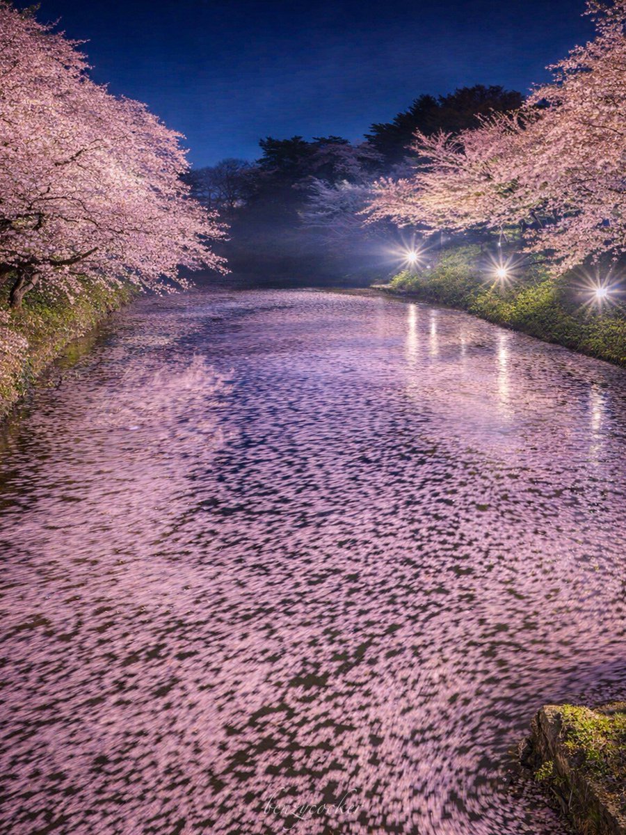 ベンジー tweet media