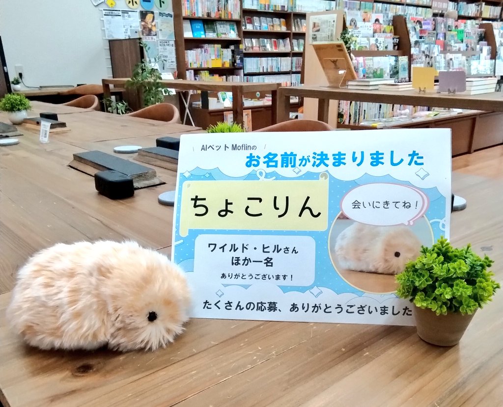 choukodo's tweet photo. 【お名前が決まりました】
当店のAIペットMoflin (CASIO )は

☘️『ちょこりん』☘️

と命名されました。
ワイルド・ヒルさん、ほか一名の方ありがとうございます✨

たくさんの応募、本当にありがとうございました😀
皆さまのご来店を、ちょこりんと一緒にお待ちしています。

#山梨　#書店　#Moflin https://t.co/B2vrV2ZzR6